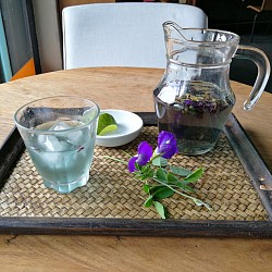 Butterfly pea tea [Hot 50thb/ICE 60thb]